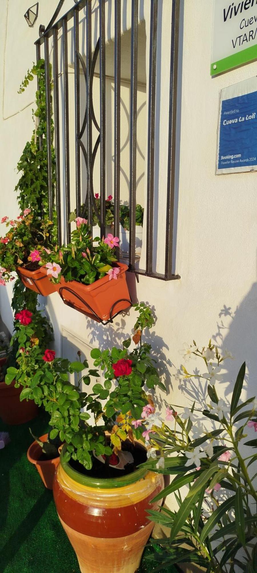 Cueva La Loli Villa Гуадикс Екстериор снимка